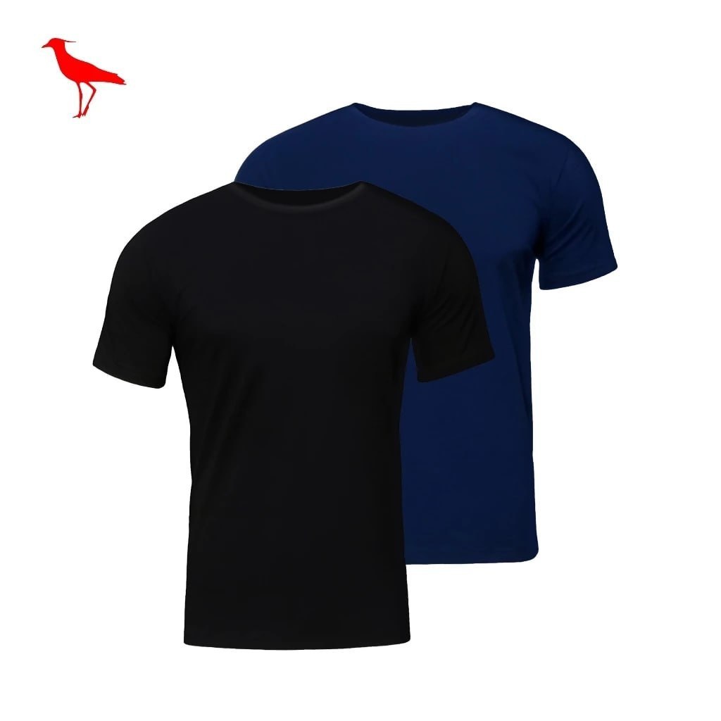 Kit de 2 Camisetas Premium Masculinas 100% Algodão Malha Penteada Fio 30.1 Ducam Cores Sortidas 30.1