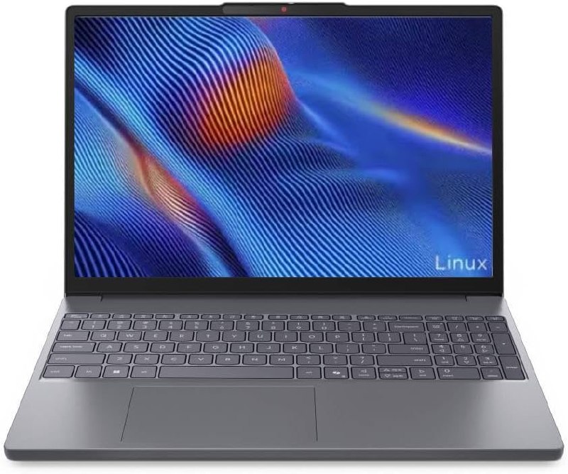 Notebook Lenovo IdeaPad Slim 3 15IRU10 Intel Core 3 100U 8GB 256GB SSD Linux 15.3