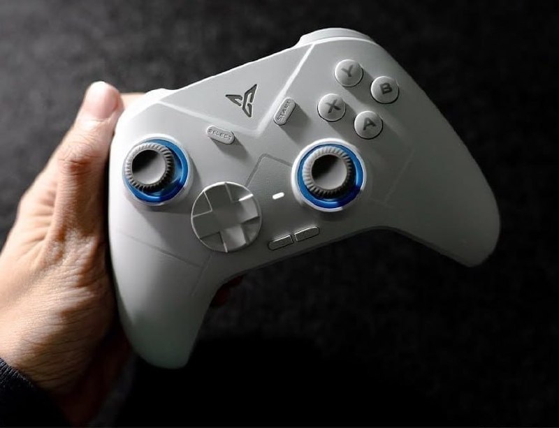 Controle Flydigi Direwolf 4